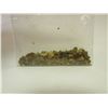 Image 1 : 1/4 Troy Ounce Alaskan Placer Gold