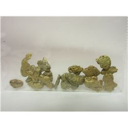 1/4 Troy Ounce Alaskan Placer Gold Nuggets