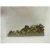 Image 1 : 1/4 Troy Ounce Alaskan Placer Gold