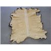 Image 2 : Tanned Elk Hide- 76" X 58" Good Condition