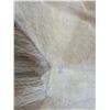 Image 3 : Tanned Elk Hide- 76" X 58" Good Condition
