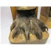 Image 3 : Wolverine Foot Bookends- 8"H X 6"W X 7.5" D