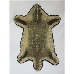Double Matted Badger Rug- Minor Damage On 1 Foot- 38" X 28"