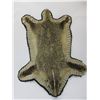 Image 4 : Double Matted Badger Rug- Minor Damage On 1 Foot- 38" X 28"