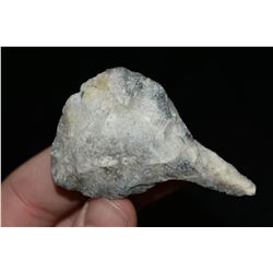 2 1/2" Drill, Cooper Co, Missouri Ex Dr Nuckles
