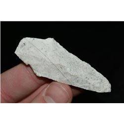 2 1/2" Dickson Point, Central Missouri Ex Dr Nuckles