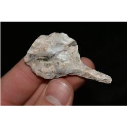 2 1/4" Drill, Central Missouri Ex Dr Nuckles