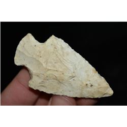 2 5/8" Motley Point, Central Missouri Ex Dr Nuckles