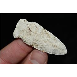 2" Matanzas Point, Central Missouri Ex Dr Nuckles