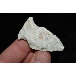 1 7/8" Rice Side Notched Point, Central Missouri Ex Dr