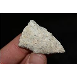 1 3/4" Rice Side Notched Point, Central Missouri Ex Dr