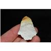 Image 4 : 3 1/8" Dickson Point, Central Missouri Ex Dr Nuckles