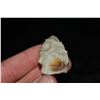 Image 4 : 2 7/8" Rice Side Notched Point, Central Missouri Ex Dr