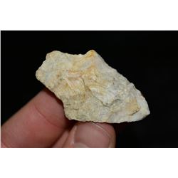 2" Dickson Point, Central Missouri Ex Dr Nuckles