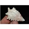 Image 1 : 2 1/8" Eccentric Point, Central Missouri Ex Dr Nuckles