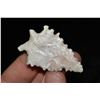 Image 2 : 2 1/8" Eccentric Point, Central Missouri Ex Dr Nuckles
