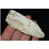Image 2 : Lot of 5 Matanzas and Woodland Points, Ex Reggie Powers