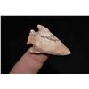 Image 2 : 1 5/8" Corner Notch Point, Ex Reggie Powers Central