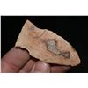Image 2 : 2 3/4" Rice Side Notched Point, Central Missouri Ex Dr