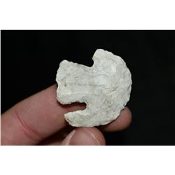 1 3/8" Stunner Point, Central Missouri Ex Dr Nuckles