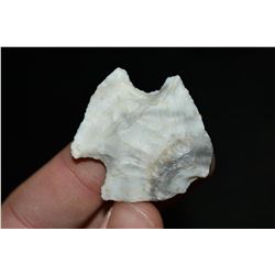 1 5/8" Mozarkite Snyder Point, Central Missouri