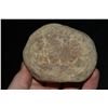 Image 2 : 3 3/4" Double Sided Nutting Stone, Central Missouri