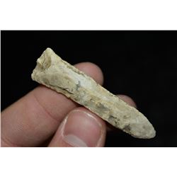 2 1/4" Drill, Central Illinois