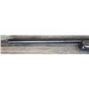 Image 3 : CZ MODEL 550