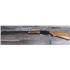 Image 1 : SAVAGE MODEL 95