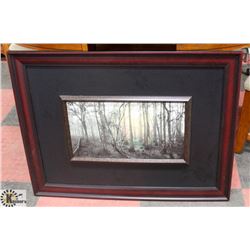 FRAMED 37"X28" PICTURE OF SUNSET THROUGH THE WOODS