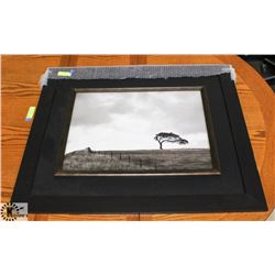 FRAMED PICTURE OF BLOWING WIND ON PRAIRIES WITH