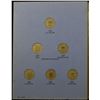 Image 1 : 1866-1883 Shield Nickel Starter Set
