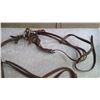 Image 2 : HORSE BRIDLE AND BIT