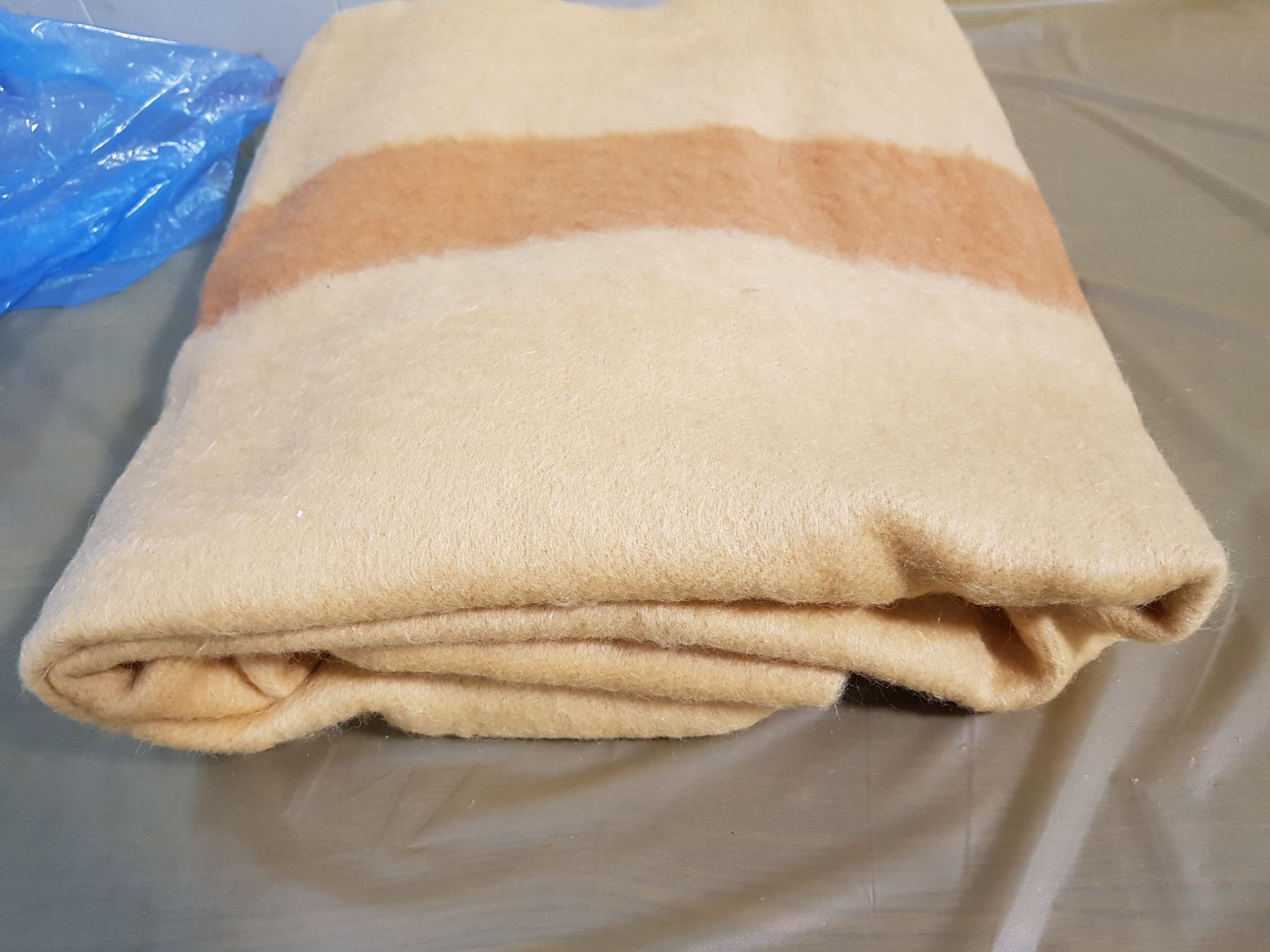 WHITNEY POINT BLANKET Schmalz Auctions