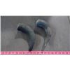 Image 1 : TWO BISON HORNS