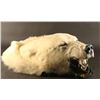 Image 1 : Polar Bear Head Mount