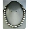 Image 2 : Luxurious Strand of Large Silver Tahitian