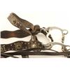 Image 2 : Spotted Western Headstall