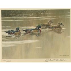 Duck Stamp Print