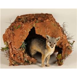 Full Mounted Fox