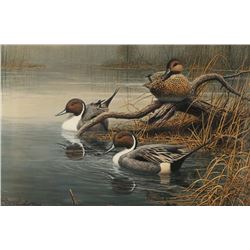 Fine Art Print