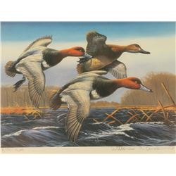 Duck Stamp Print