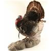 Image 2 : Full Mounted Turkey