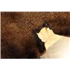 Image 2 : Buffalo Hide Rug