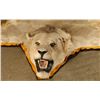 Image 2 : African Lion Rug