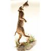 Image 2 : Full Mounted Bobcat