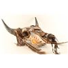 Image 2 : Painted Buffalo Skull