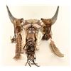Image 3 : Painted Buffalo Skull