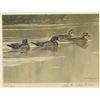 Image 3 : Duck Stamp Print