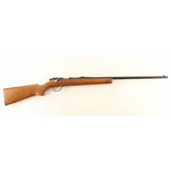 Remington 514 .22 S/L/LR NVSN